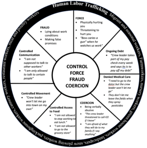 human labor trafficking