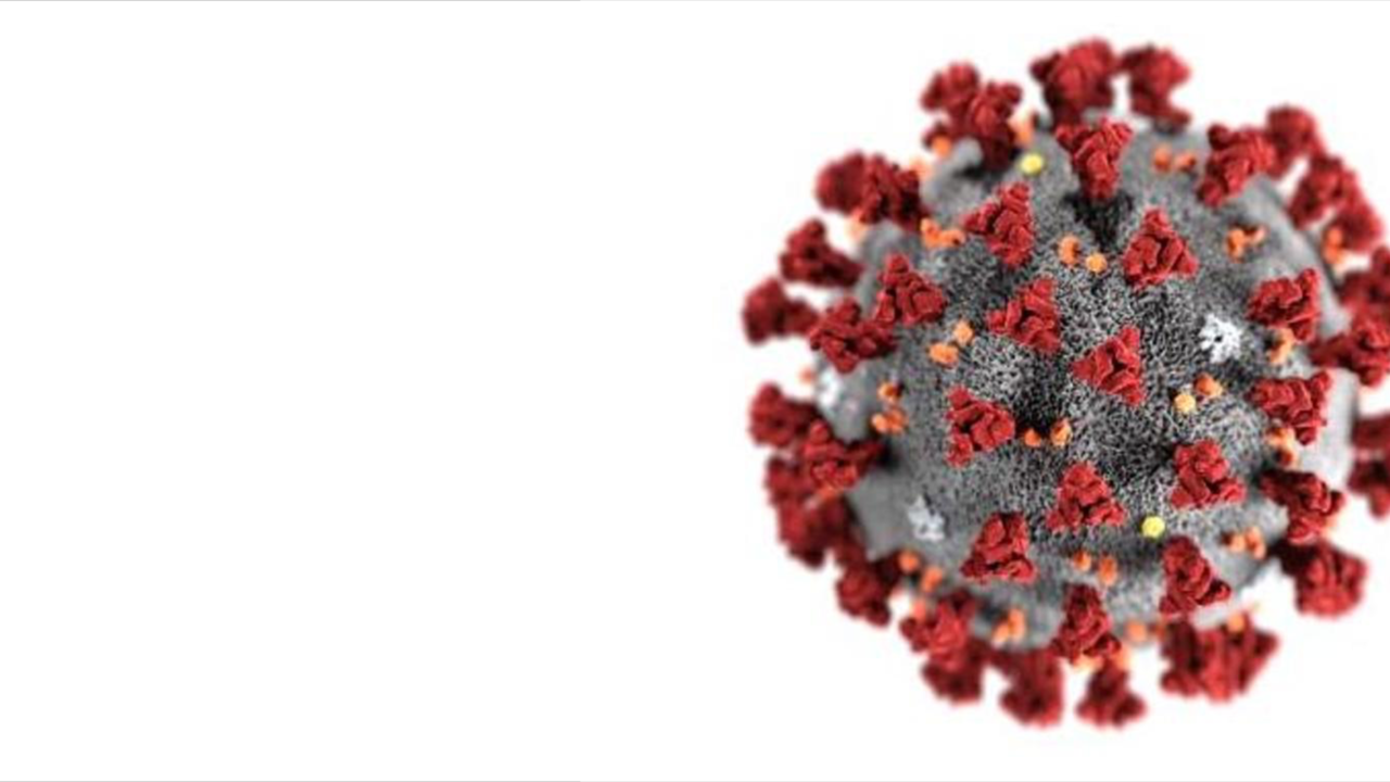 FLAP COVID-19 Response