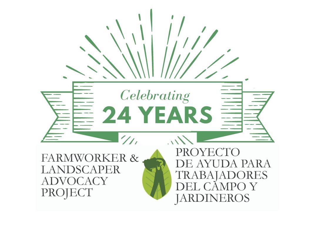 FLAP 24 Years Logo