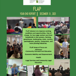 FLAP 2025 Year End Report Cover Image